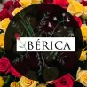 Flores Iberica CDMX