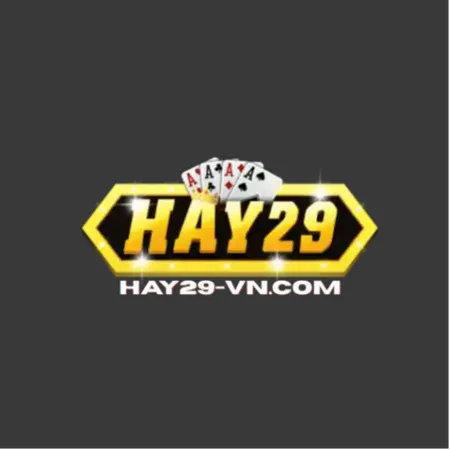 vnhay29
