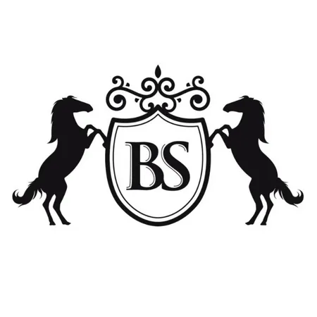 Black Stallion Removalist