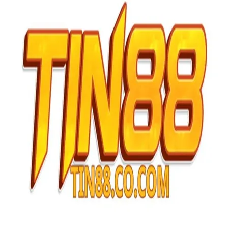 TIN88