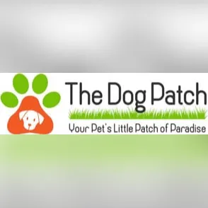 The dog Patch