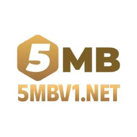 5MB 