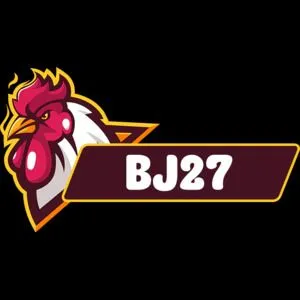 BJ27