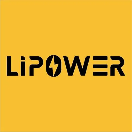 LIPOWER NEW ENERGY TECHＮOLOGY CO LTD