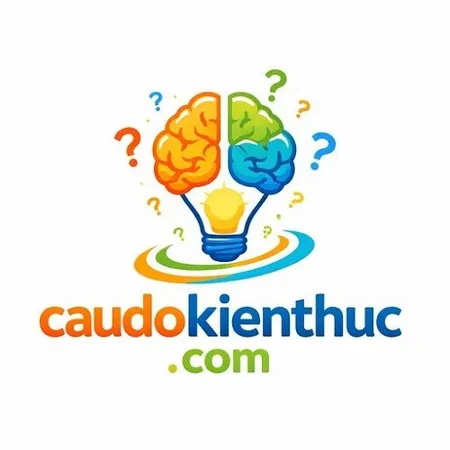 Câu Đố Kiến Thức