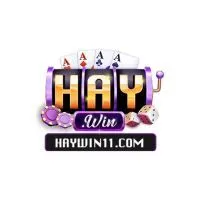 HAYWIN 11COM