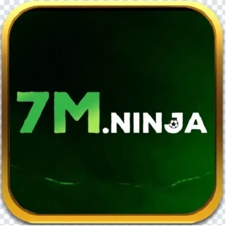 7M ninja