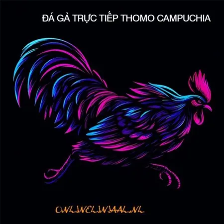 ĐÁ GÀ TRỰC TIẾP ONLINE