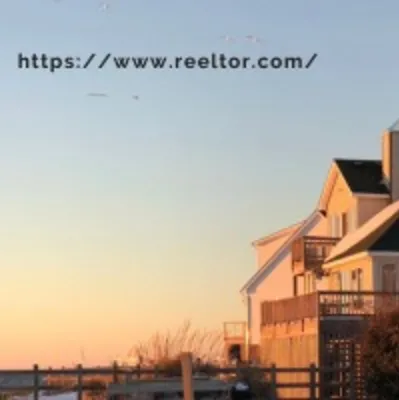 reeltor