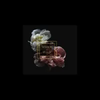 maisonlafleur