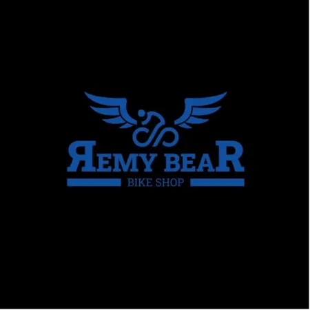 Remy Bear LLC 