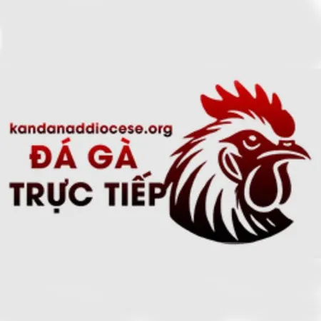 ĐÁ GÀ TRỰC TIẾP