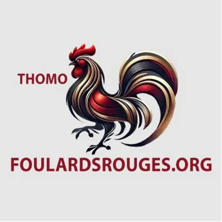 ĐÁ GÀ THOMO TRỰC TIẾP FOU