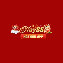 HAY88