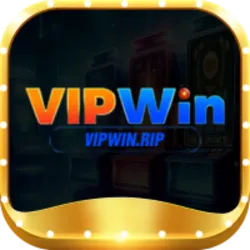 vipwincam