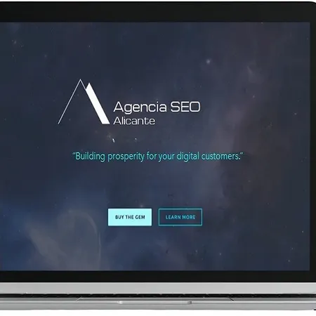 AGENCIA SEO ALICANTE
