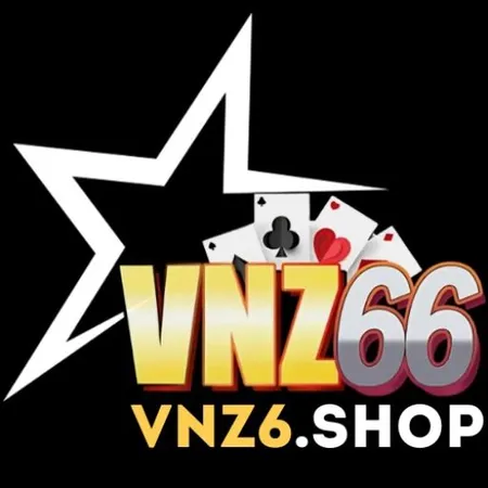VNZ6