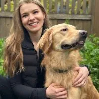 dogtrainer 