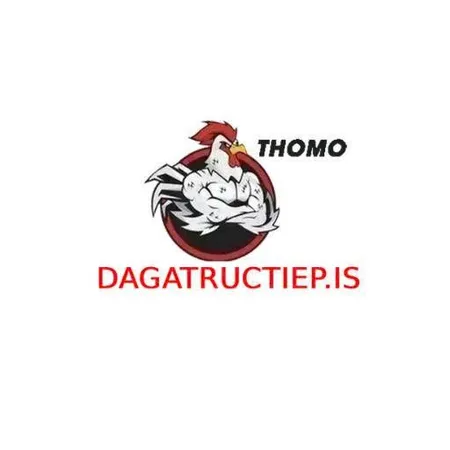 ĐÁ GÀ TRỰC TIẾP IS