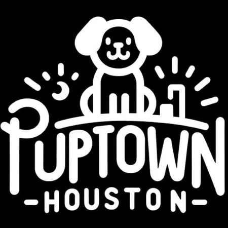 Houston dog training