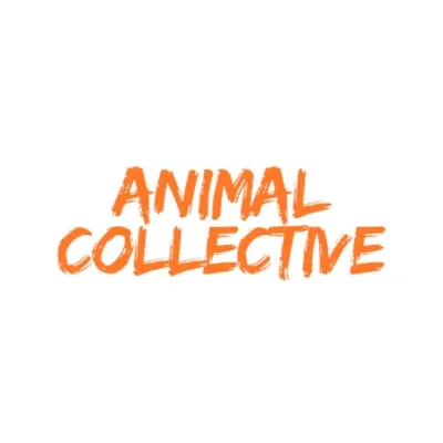 Animal Collective Merch