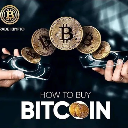 BITSTAMP INVESTMENT BANKING