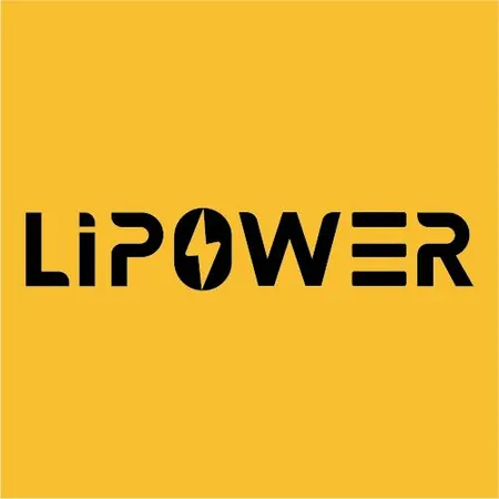 LIPOWER NEW ENERGY TECHＮOLOGY CO LTD