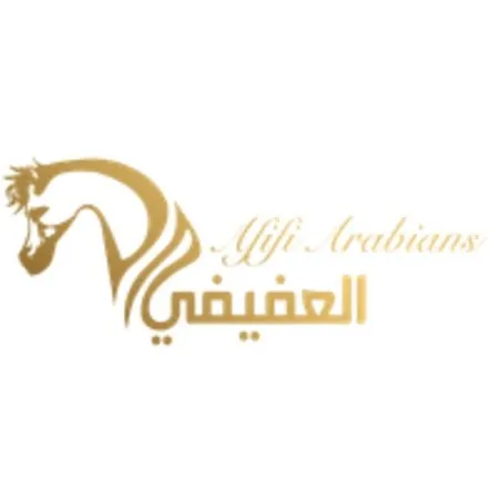 Afifi Arabians